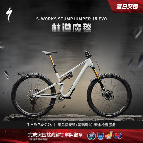 SPECIALIZED闪电碳纤维软尾
