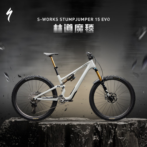 SPECIALIZED闪电碳纤维软尾