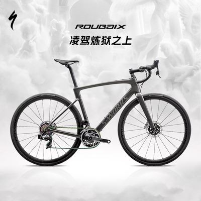 SpecializedROUBAIXSL8公路车