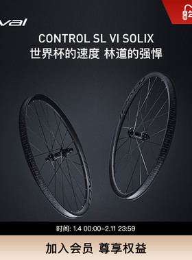SPECIALIZED闪电 CONTROL SL VI SOLIX 碳纤维碟刹轻量山地轮组