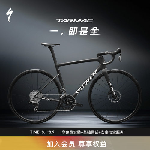 闪电TARMACSL8碳纤维电变公路车