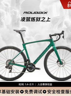 SPECIALIZED闪电 ROUBAIX SL8 PRO 碳纤维电变竞赛耐力公路自行车