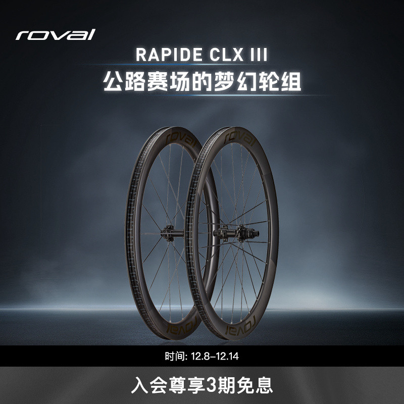 ROVALRAPIDECLXIII公路车轮组