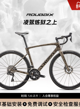 SPECIALIZED闪电 S-WORKS ROUBAIX SL8 碳纤维Di2耐力公路自行车