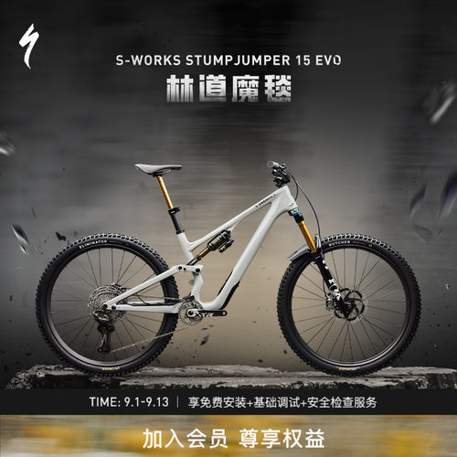 SPECIALIZED闪电碳纤维软尾
