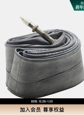 SPECIALIZED闪电 TUBE/TALC 内胎29山地自行车40法嘴