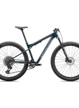 SPECIALIZED闪电山地自行车