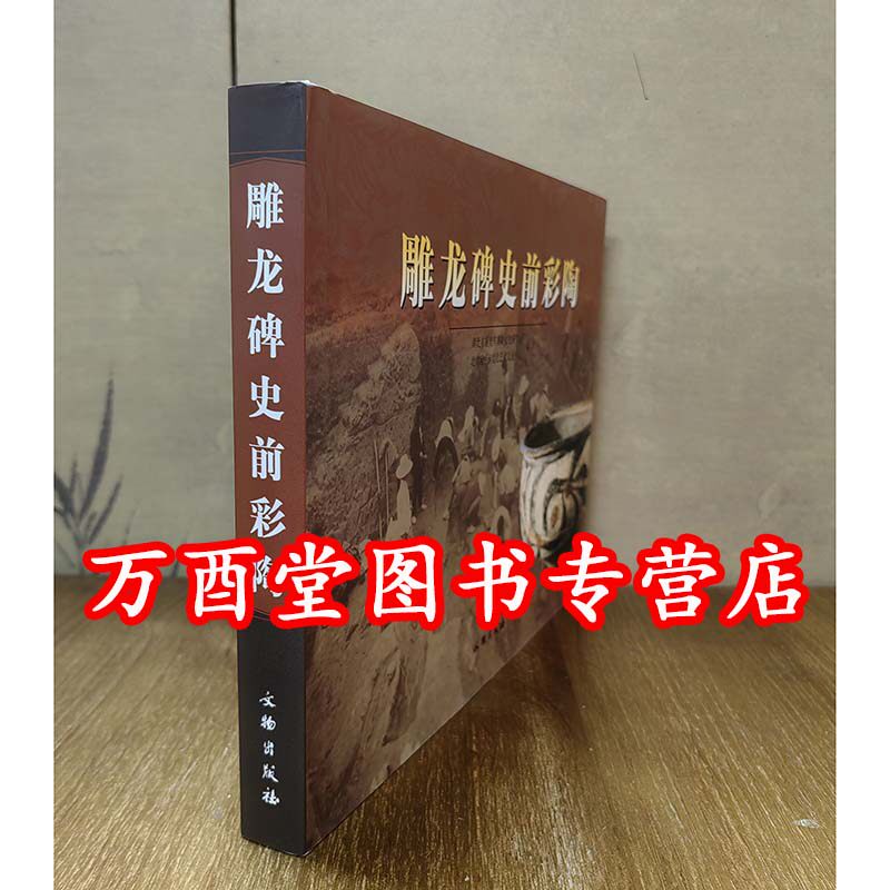 雕龙碑史前彩陶