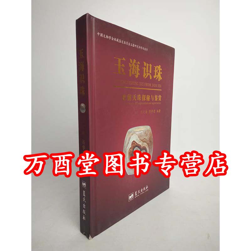 【瑕疵实图 慎拍】玉海识珠(史前天珠探秘与鉴赏) 另荐 精典 喜马拉雅天珠 朱晓丽 藏天珠 珠子的故事 西藏 解密古代 珍藏宝典