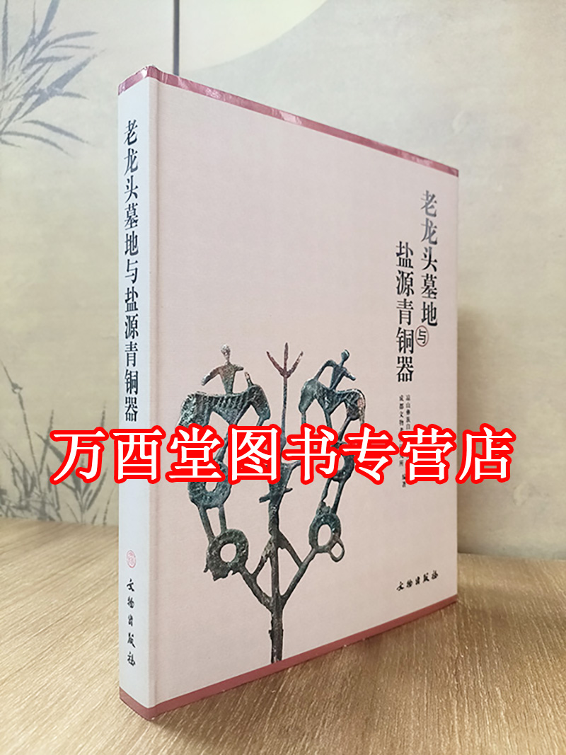 老龙头墓地与盐源青铜器 文物出版社 另荐 西昌地震碑林 凉山彝族自治州博物馆