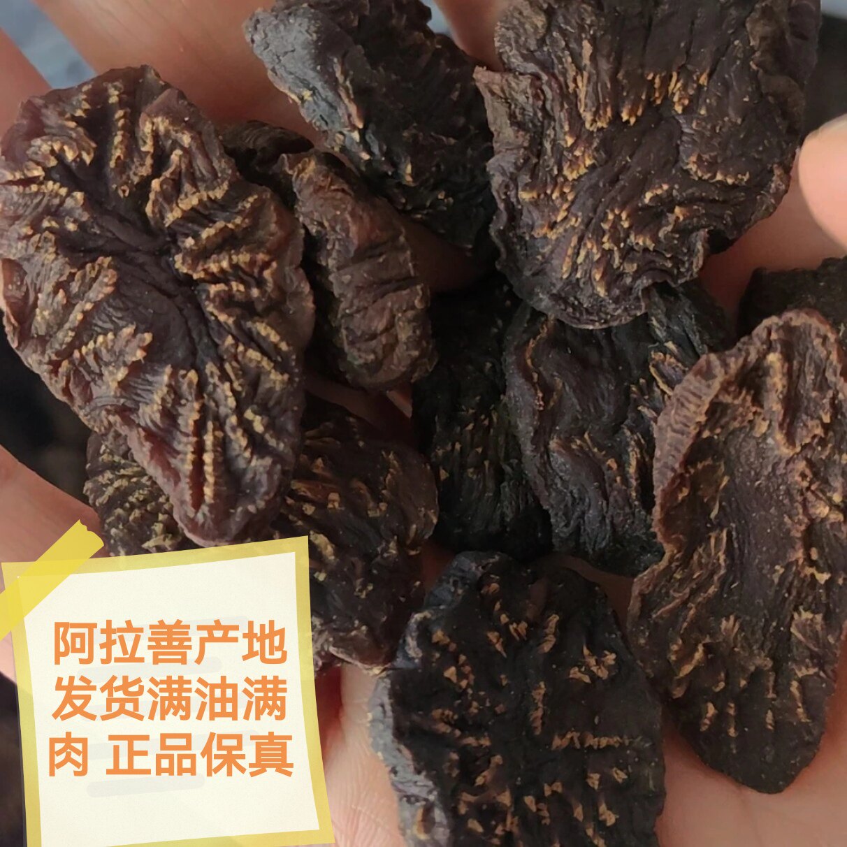 【代理链接】内蒙古阿拉善荒漠油肉苁蓉产地直发泡酒泡水