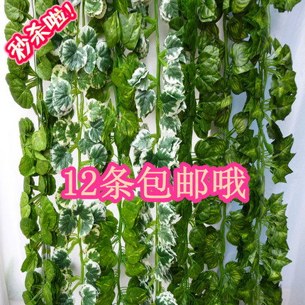 仿真爬山虎绿萝叶藤条塑壁常青藤管道遮挡叶子藤蔓吊顶装饰绿叶藤