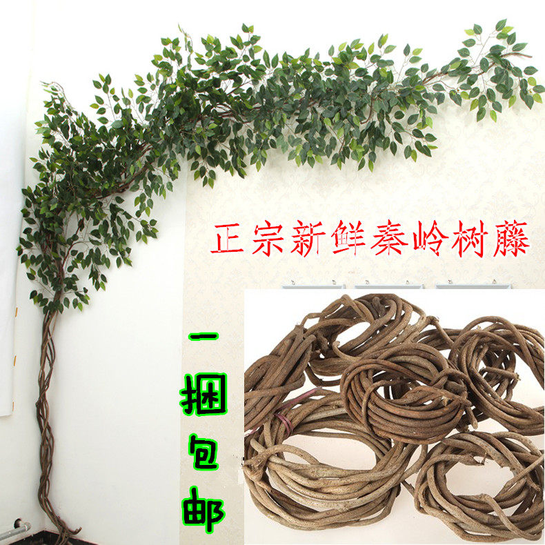 藤蔓吊顶缠绕干树枝仿真植物