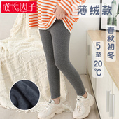 加绒春秋2024冬季 新款 外穿宝宝保暖棉裤 女童打底裤 儿童打底裤 薄绒