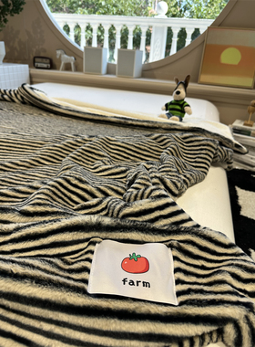 舒适兔兔绒黑色条纹毛毯泰迪绒午休毯盖毯秋冬加厚毯子卧室沙发