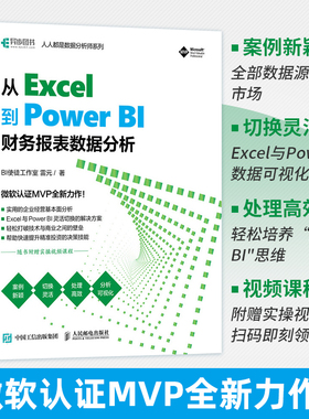 【出版社官方旗舰店】从 Excel 到 Power BI 财务报表数据分析 excel教程教材PowerBI入门书籍数据可视化DAX指南