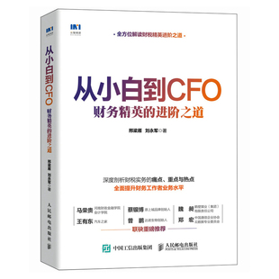 从小白到CFO 财务精英的进阶之道 财务风险控制业财融合投融资管理 提升财务业务水平 财务核算 财务bp 提升领导力