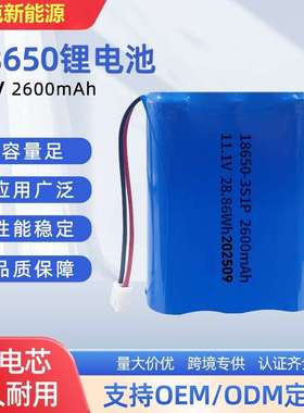 奥克新 18650电池12V容量2600毫安-3500毫安电动工具 CE IEC62133