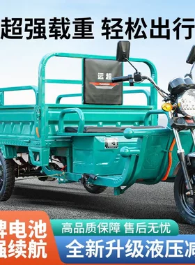 电动三轮车货车载重王新款家用电瓶车快递车摆摊三轮车农用车货运