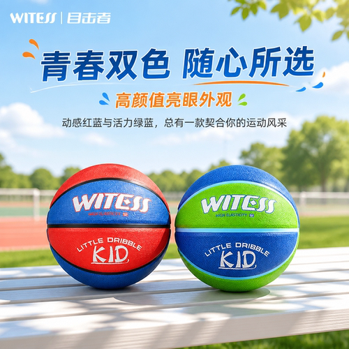 WITESS目击者4号5号篮球橡胶蓝球儿童学生比赛训练专用耐磨防滑