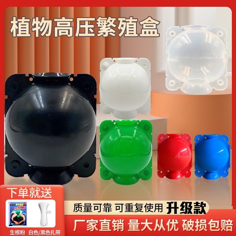 高压繁殖扦插嫁接生根园林植物