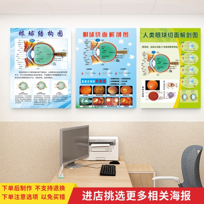 眼科知识宣传海报解剖图