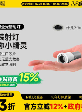迷你小射灯满天星led开孔30嵌入式防眩cob15度家用客厅酒柜小角度