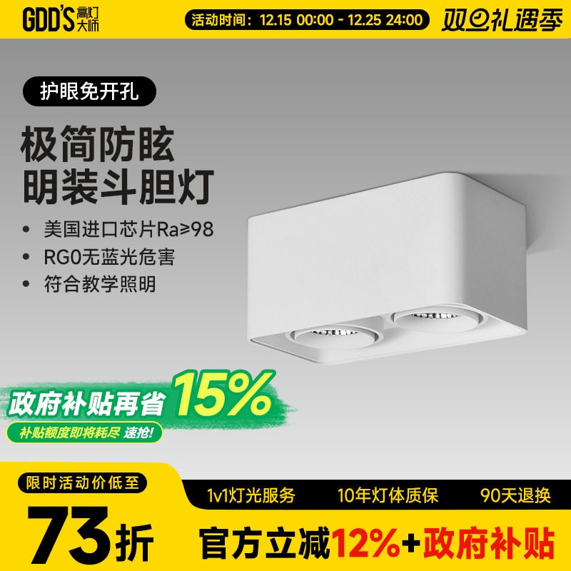 全铝明装双头白色led客厅斗胆灯