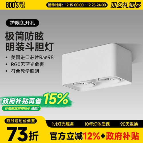 全铝明装双头白色led客厅斗胆灯