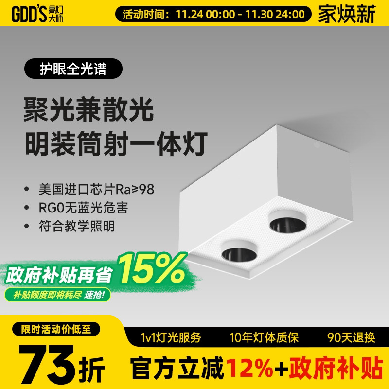 双头斗胆LED射灯明装吸顶正方