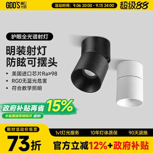 全铝材可摆头防眩高灯大师极简风