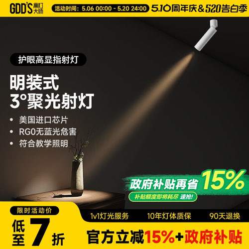 高灯大师客厅全铝材可摆头