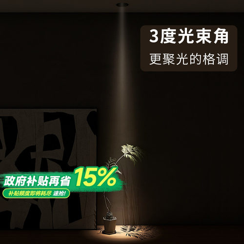 高灯大师玄关全铝材聚光氛围3度