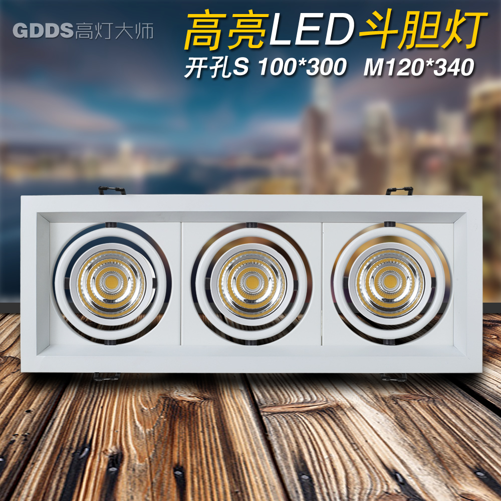 GDDS三頭斗膽燈北歐白色3頭格柵燈led多頭射燈長方防霧筒燈豆膽燈