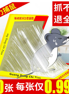 驰天强力粘鼠板超强力抓老鼠