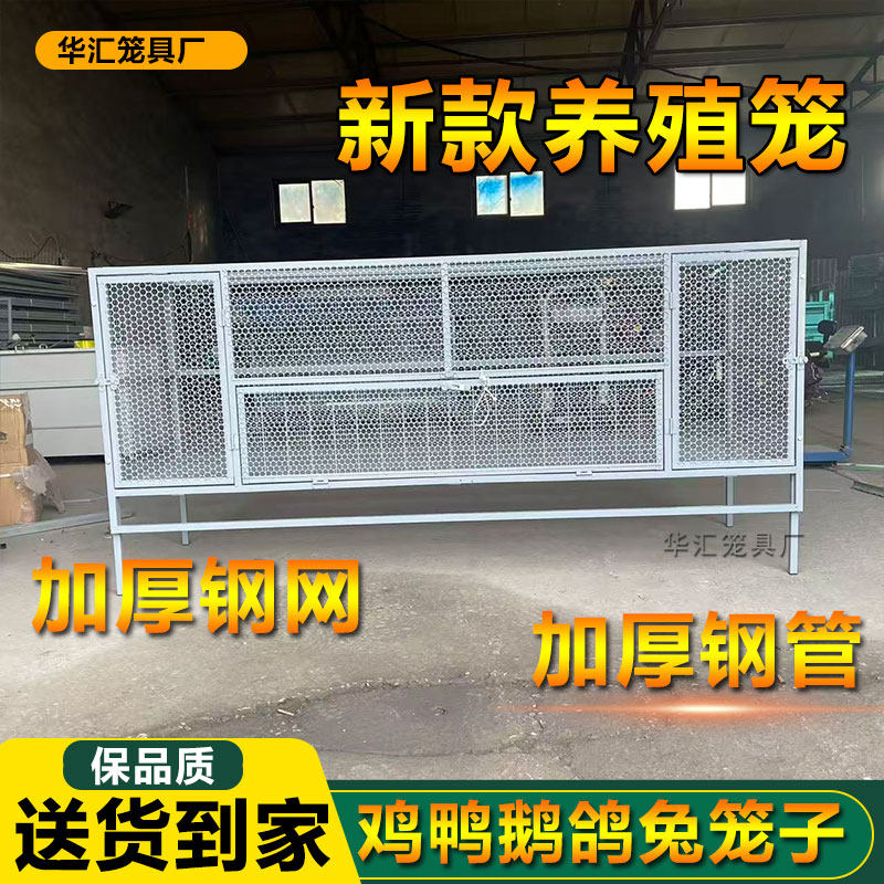 好品质鸡笼子养殖鸡鸭鹅兔子钢网笼尖顶防雨可水洗自动收蛋烤漆笼