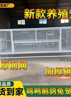好品质鸡笼子养殖鸡鸭鹅兔子钢网笼尖顶防雨可水洗自动收蛋烤漆笼