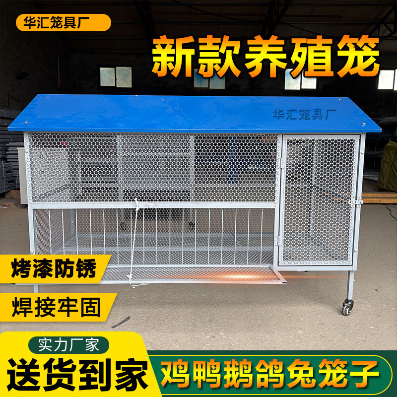 尖顶防雨鸡笼子养殖鸡鸭鹅兔子好品质钢网笼可水洗自动收蛋烤漆笼