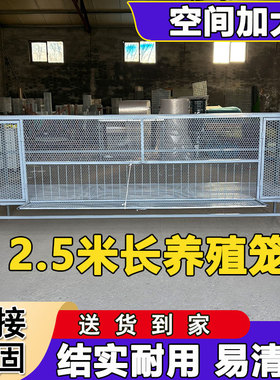 【大空间养鸡笼子】养殖笼家用大号养鸡家禽加厚型户外钢网铁笼子