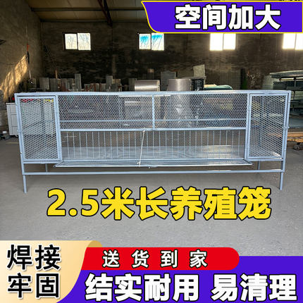 【大空间养鸡笼子】养殖笼家用大号养鸡家禽加厚型户外钢网铁笼子