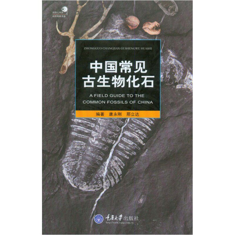 中国常见古生物化石