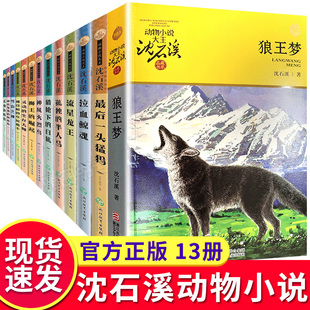 儿童文学系列经典 沈石溪动物小说全集 最后一头猛犸 崛起狼王梦全套正版 小学生三四年级课外书必读初中生课外阅读书籍 作品狮王