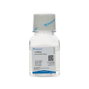 Biosharp RIPA裂解液 强 100ml BL504A 可用于常规的Western IP