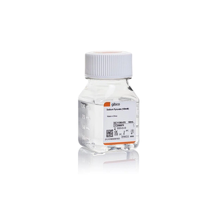 11360 丙酮酸钠 Gibco 070 包发票 100ml 包邮