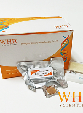 WHB-24-CS-LC 多聚赖氨酸处理24孔板圆形细胞爬片（Φ14mm） 灭菌 100片/盒