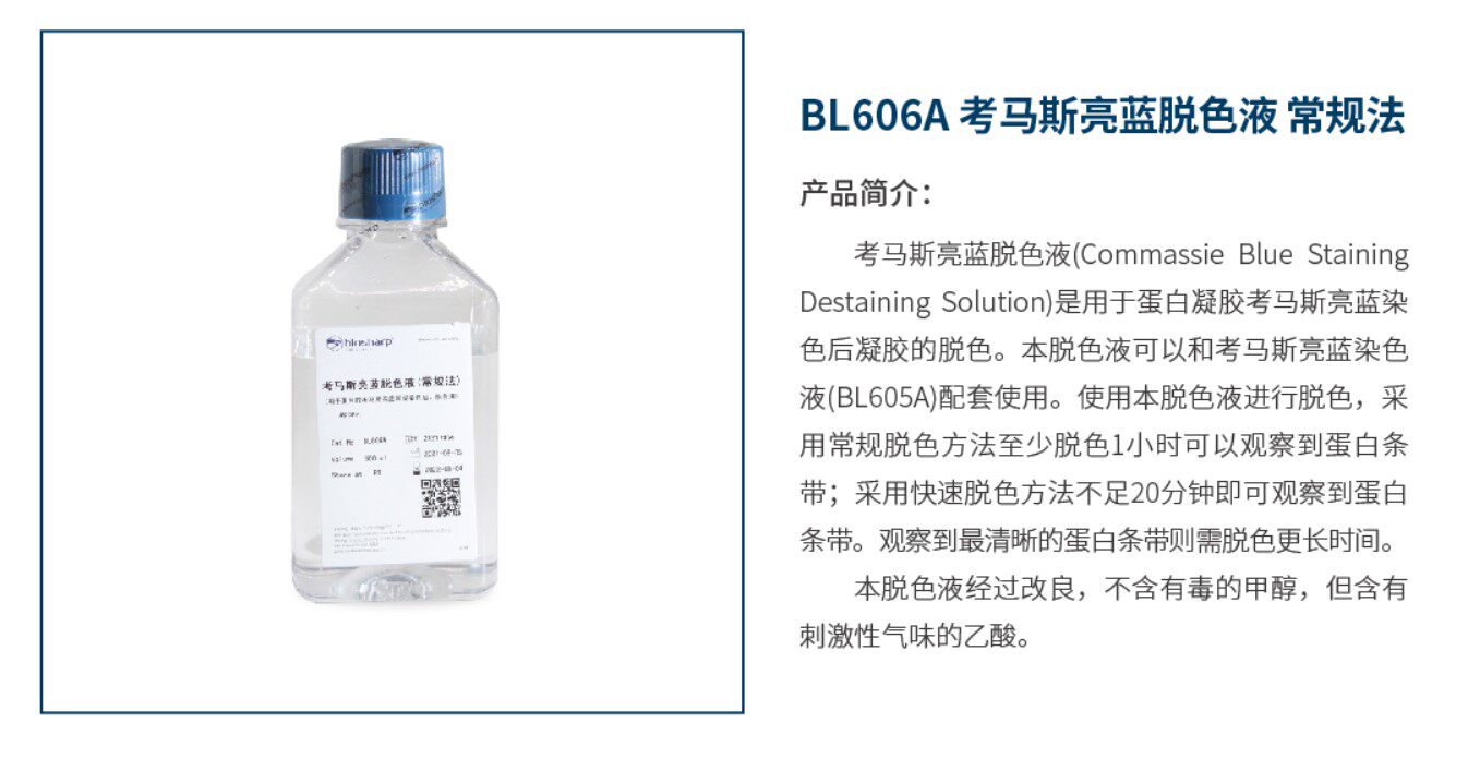 biosharp bl606a 考马斯亮蓝脱色液 常规法 500ml