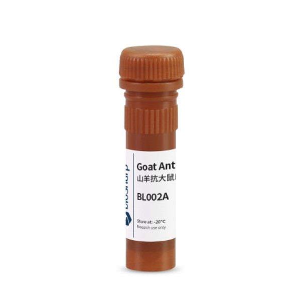 biosharp BL002A羊抗大鼠IgG-HRP 0.1ml