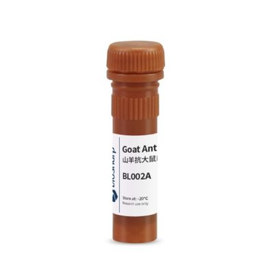 biosharp  BL002A  羊抗大鼠IgG-HRP  0.1ml