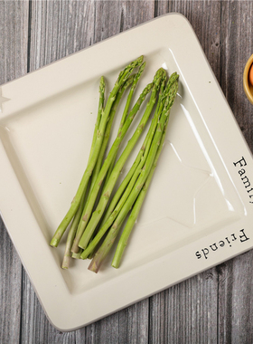 外贸陶瓷 primitives by kathy餐具果盘子烘焙烤箱可用平盘13寸