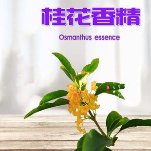 食用级水果葡萄薄荷桂花奶油PG丙二醇 VG蔬菜甘油基础液体DIY香精